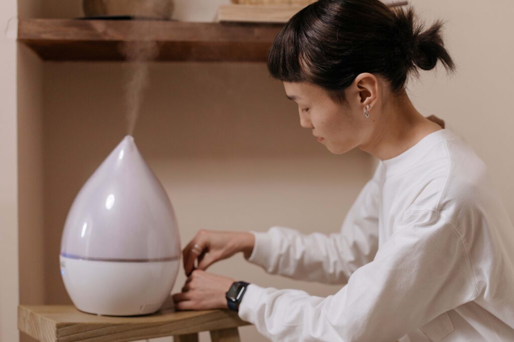 The Art of Choosing the Perfect Humidifier